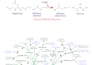 make scientific figures, posters, and graphical abstracts for research papers